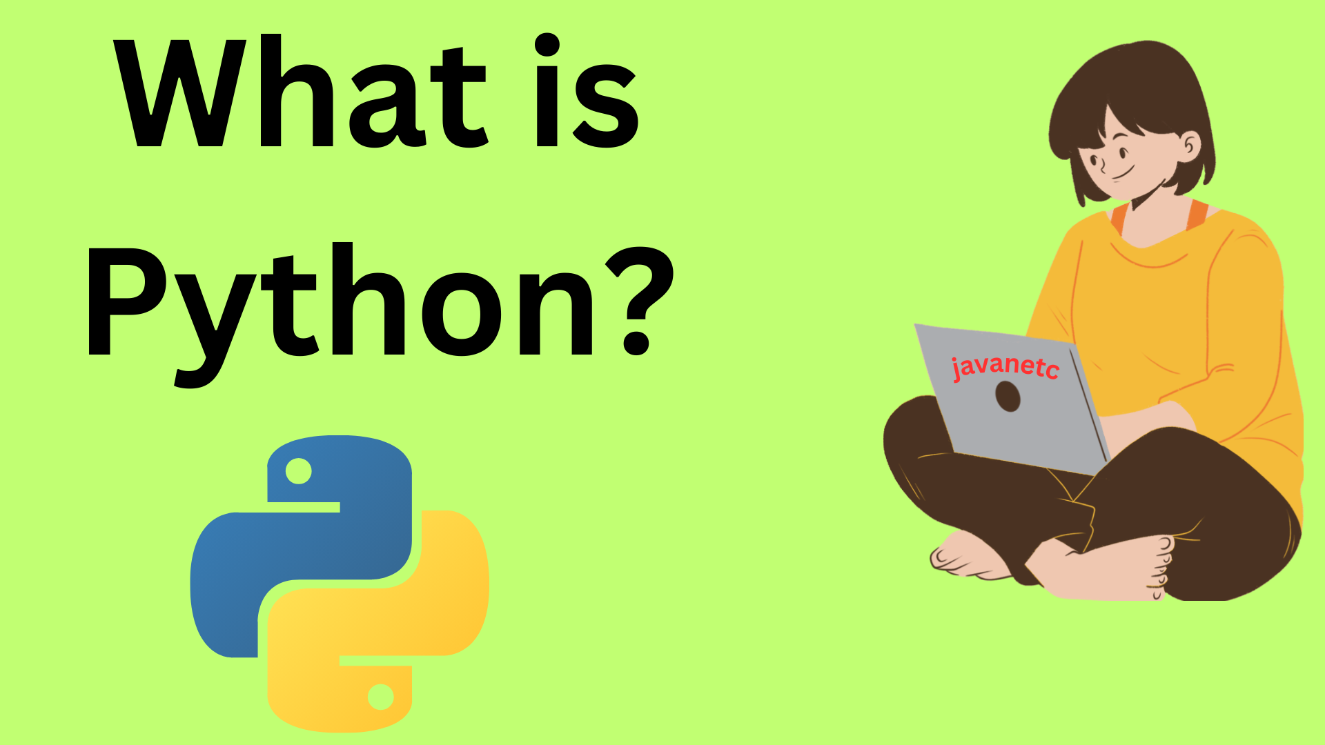 You are currently viewing What is Python? A Comprehensive Guide 2208